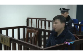 桑植为什么选择专业追讨公司来处理您的债务纠纷？