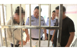 桑植桑植的要账公司在催收过程中的策略和技巧有哪些？